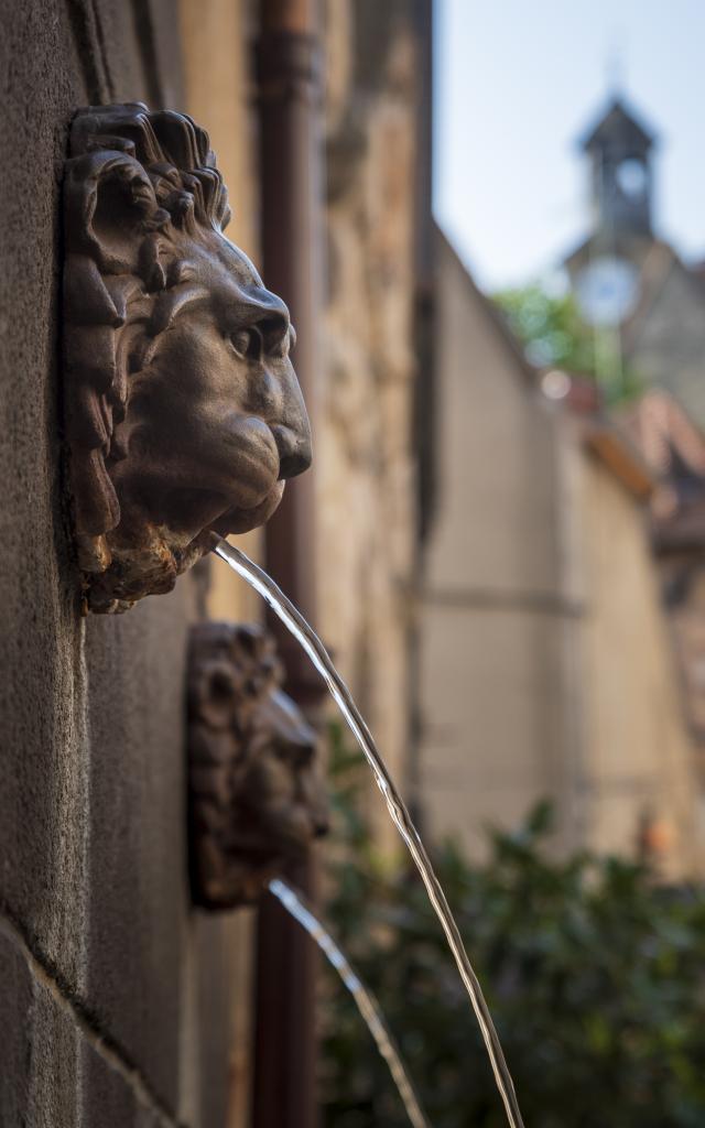 fontaine-aux-lions-montlucon-01