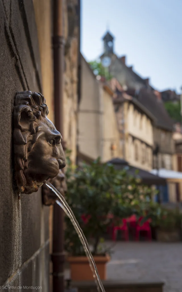 fontaine-aux-lions-montlucon-03