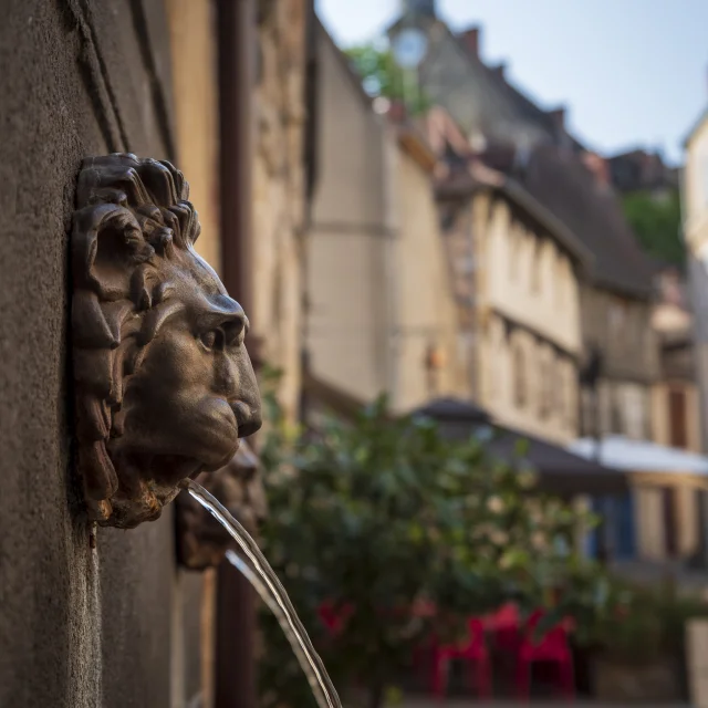 fontaine-aux-lions-montlucon-03