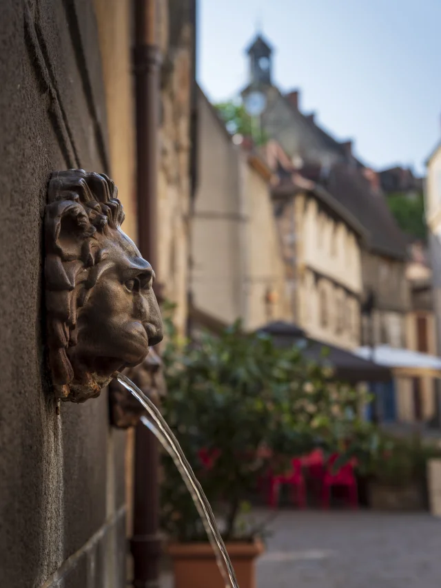 fontaine-aux-lions-montlucon-03