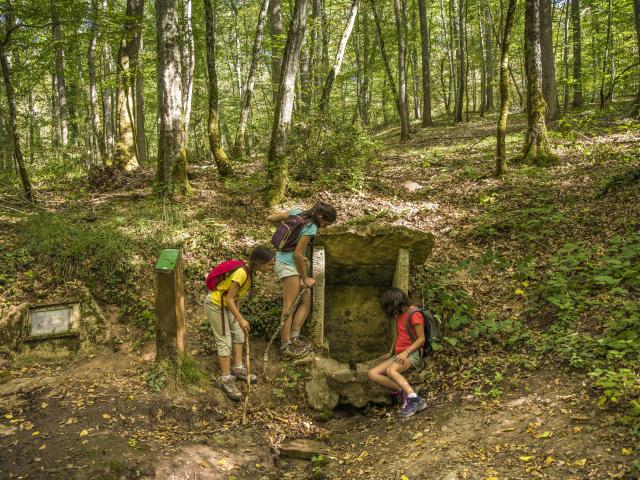 troncais-font-de-lait-colbert-2-luc-olivier-cdt-allier-3