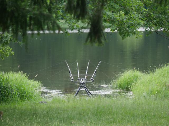 etang-troncais-pirot-04