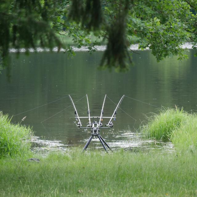 etang-troncais-pirot-04