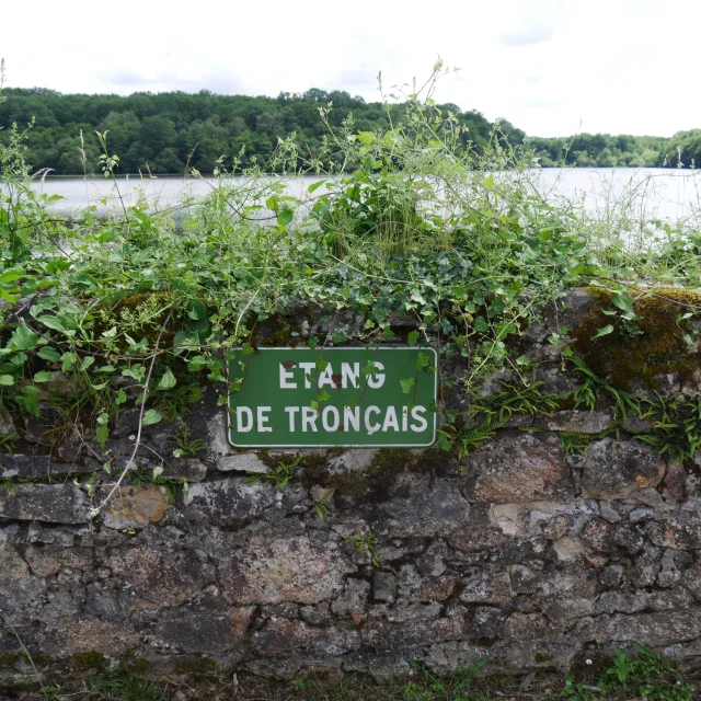 etang-troncais-06