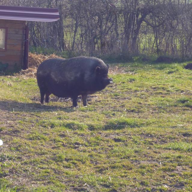 ferme-pedagogique-de-la-ganne-premilhat-11