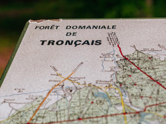 foret-de-troncais-16