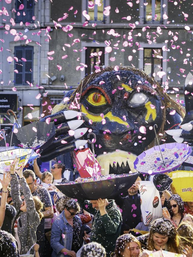 Carnaval Du Boeuf Ville Montlucon 09