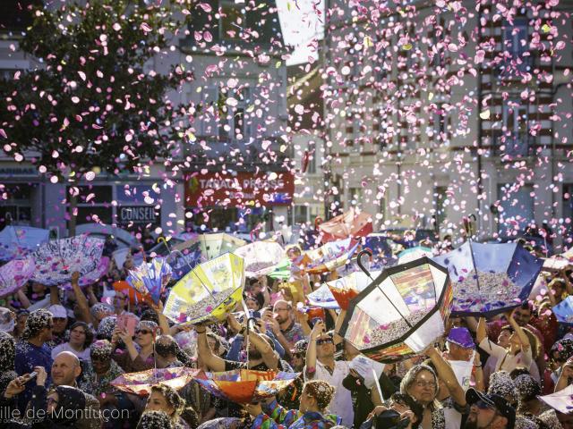 Carnaval Du Boeuf Ville Montlucon 11