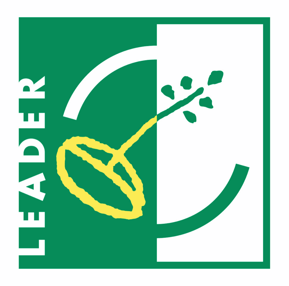 logo-leader