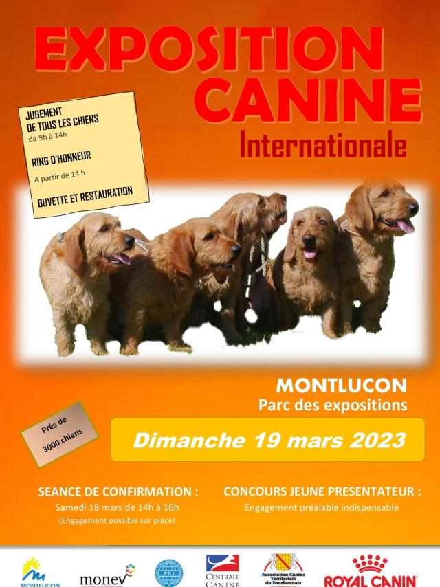 19 Mars Exposition Canine Internationale Parc Des Expositions Monev Montlucon